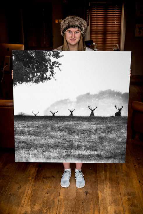 JUMBO ART - ASCENT OF STAG - HUGE 1 Metre Square Canvas